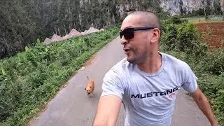 This Cuban DOG was our Tour Guide for the day 🇨🇺 | El Palenque Cave Vinales