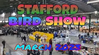 Stafford Bird Show - March 2023