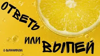 Отвечай или страдай! (с винникком)