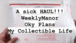 Planner Stickers and more! Haul from Oky Plans | My Collectible Life | Weekly Manner