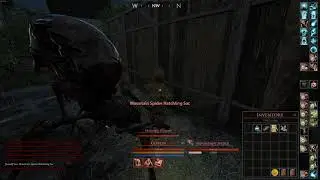 Mortal Online 2 - Mountain Spider Accident