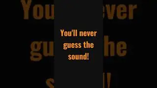 You'll never guess the sound! #shorts #FunnySounds #CAWFSounds