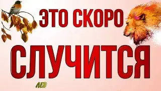 ♥️♣️ ЛЕВ,♌️, СЕНТЯБРЬ,ваш 🍀 ПОВОРОТНЫЙ МЕСЯЦ‼️,таро расклад, гороскоп, tarot,это скоро случится,