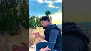 Ozan müzik gurbet elde mezarimda kazıldı