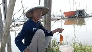 Ikan gini gak ada habisnya !!