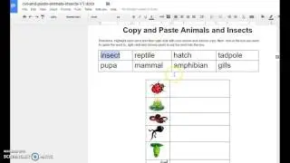 Copy/Paste using mouse and right click