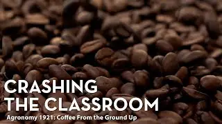 Crashing the Classroom: Coffee From the Ground Up