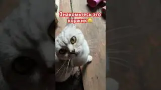 Сходили в баню🏠 а вы любите баню?)