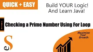 Java : Prime Number Using For Loop