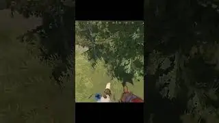 KOBE