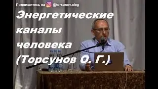 Энергетические каналы в теле человека; просто и понятно. Торсунов О. Г. 