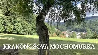 Janské Lázně | bez bariér