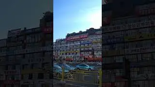 ЯНЬЦЗИ КИТАЙ СТЕНА БЛОГЕРОВ 