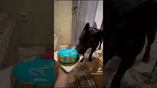 Мясной торт на День рождения Хонора из Форцабелло (Гримм)