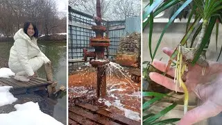 У соленого озера. Мох для растений. Случайный, но удачный опыт с янтарной кислотой