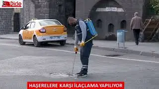 Haşerelere karşı ilaçlama yapılıyor