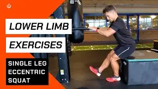 Single Leg Eccentric Squat