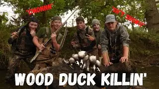 WOOD DUCK KILLIN'