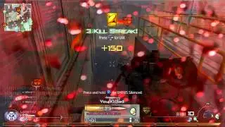 MW2 Mini - 
