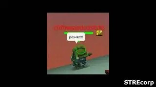 p0n0s.mp4