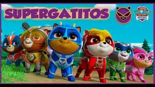 Los SUPERGATITOS de la Patrulla Canina 💪🐈