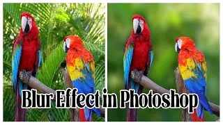 Professionally blur background in Photoshop For Beginners 2024 Tutorial