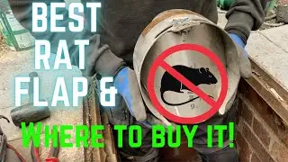 Best RAT FLAP - DRAIN BLOCKER - RAT STOPPER - This is the ONLY one the PEST INTERCEPTORS USE!