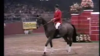 Gerd Wiltfang - Roman - 2.26 m at Olympia 1980