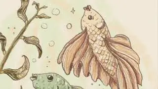 Color Angel Fish with Me | Oceanic Archive Collection