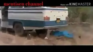 Orang asli dikejar singa...