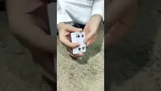 مجنون هذا الادمي