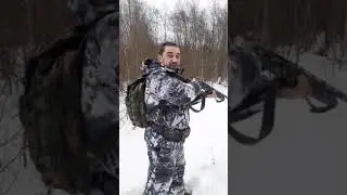 Охота на чупакабру)