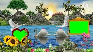 Wedding green screen effects HD video/beautiful dil photo frame vfx designer
