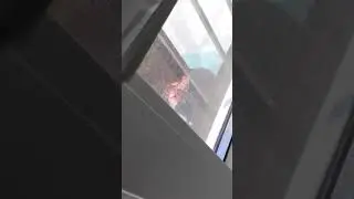 Газ)пром...Ростов