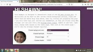 SavingStyles - Use Web Local Storage to save a Webpage Theme