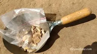 Ритуално тракийско погребение на кон в Аполонийска гробница