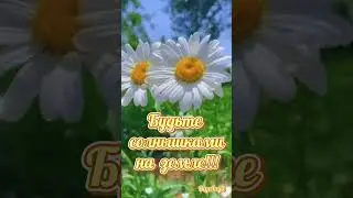 Доброе утро!!!☀️