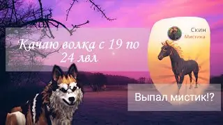 Качаю волка с 19 по 24 лвл. Открываю сундуки.