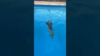 drowning