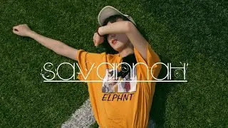 Savannah - ELPHNT (No Copyright Music)