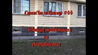 СтопХам Днепр #44|Убийца животных vs Активисты|