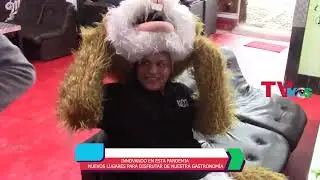INNOVANDO EN ESTA PANDEMIA