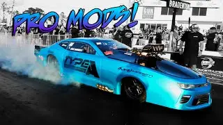 Pro Mod Qualifying - Snowbirds - Bradenton Motorsports Park!