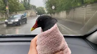 Мы в шоке😱 нас затопило! Моменты из жизни горянки.