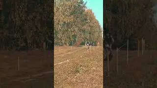 Неправильная техника прыжка #shorts #кросскантри #рекомендации #велосипед