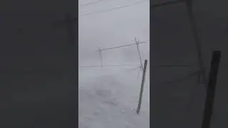 Метёт метель 17 января 2020