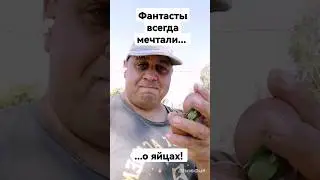 Куры - мечта фантастов!