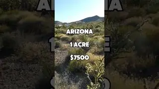 1 acre in Arizona for $7,500 #foryou #realestate #land #shorts #property #fyp #shortvideo #usa