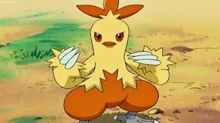 Torchic evolves into Combusken
