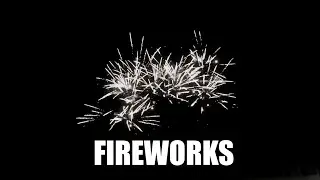 4th of July Fireworks! (They're very beautiful)